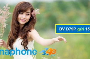Cách đăng ký gói cước D79P Vinaphone 120GB, miễn phí gọi