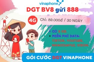 Cách đăng ký gói cước DGT Vinaphone lướt TikTok, Youtube không giới hạn