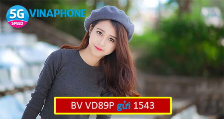 Đăng ký gói cước VD89 Vinaphone chỉ 89K/tháng lướt web, gọi thoại thả ga