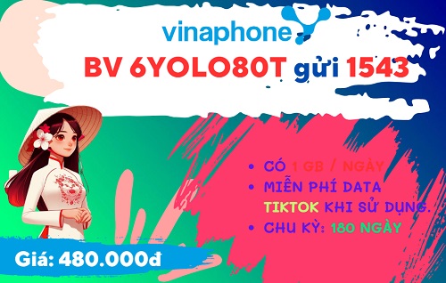 Đăng ký gói cước 6YOLO80T Vinaphone online thả ga 6 tháng chỉ 480k