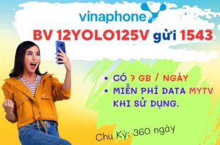Đăng ký gói cước 12YOLO125V Vinaphone nhận 2.520GB data online thả ga cả năm