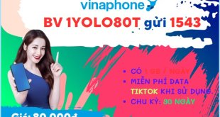 Đăng ký gói cước YOLO80T Vinaphone nhận 30GB data dùng MyTV và Tiktok thả ga