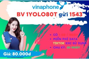 Đăng ký gói cước YOLO80T Vinaphone nhận 30GB data dùng MyTV và Tiktok thả ga