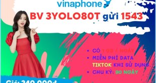 Đăng ký gói cước 3YOLO80T Vinaphone chỉ 240k online kèm lướt Tiktok thả ga 90 ngày