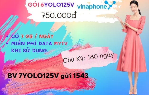 Đăng ký gói cước 6YOLO125V Vinaphone online thả ga nửa năm