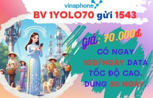 Cách đăng ký gói cước YOLO70 Vinaphone trọn gói 30 ngày sử dụng