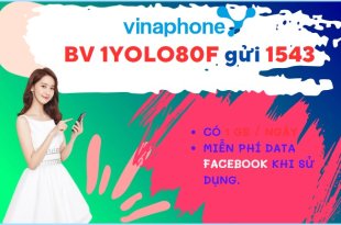 Đăng ký gói cước YOLO80F Vinaphone dùng data giá rẻ cả tháng