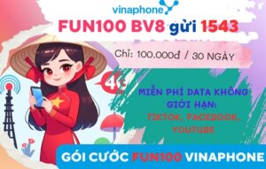 Đăng ký gói cước FUN100 Vinaphone lướt TikTok, Youtube, Facebook không giới hạn