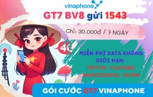 Gói cước GT7 Vinaphone: Chỉ 30.000đ lướt TikTok, Youtube không giới hạn 1 tuần