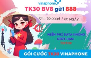 Đăng ký gói cước TK30 Vinaphone chỉ 30.000đ truy cập Tiktok thả ga cả tháng